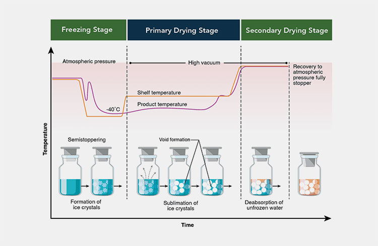 Processing of lyophilized powder for injection