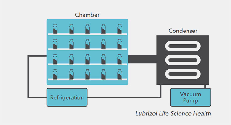 process steps for Lyophilized Powder