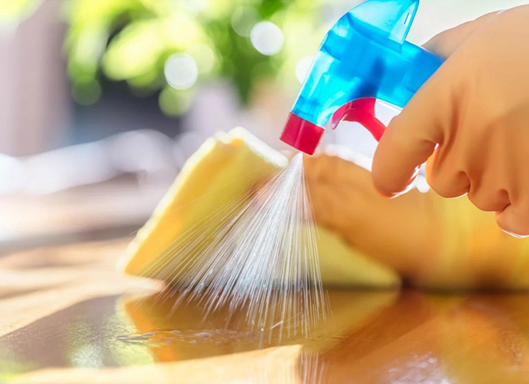 Household Cleaners