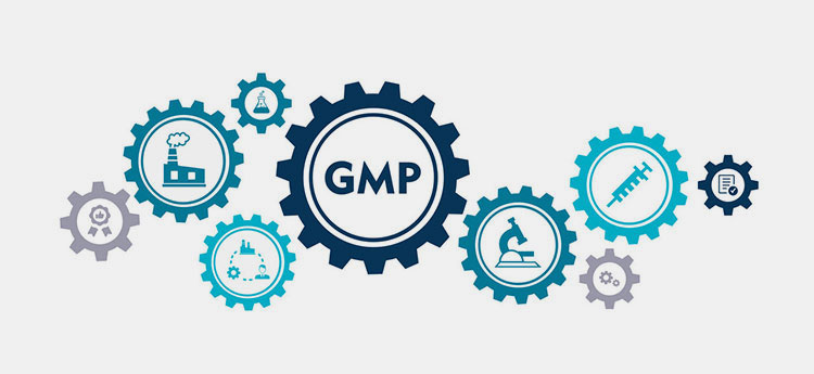 Good Manufacturing Practice