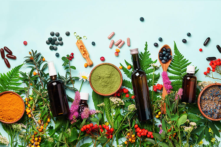 Nutraceutical Industry