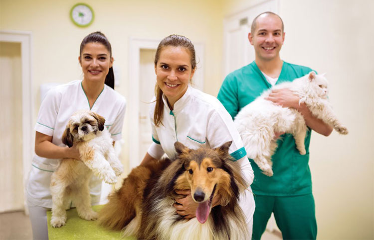 Veterinary Industry