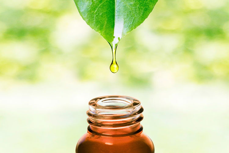 Nutraceutical Industry