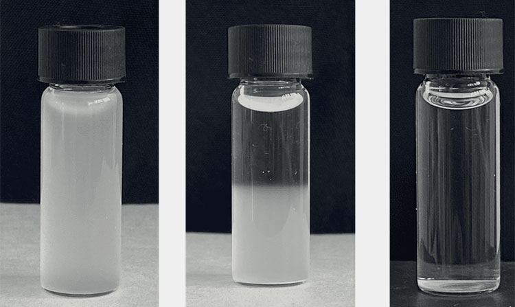 Crystallization and Sedimentation of Particles