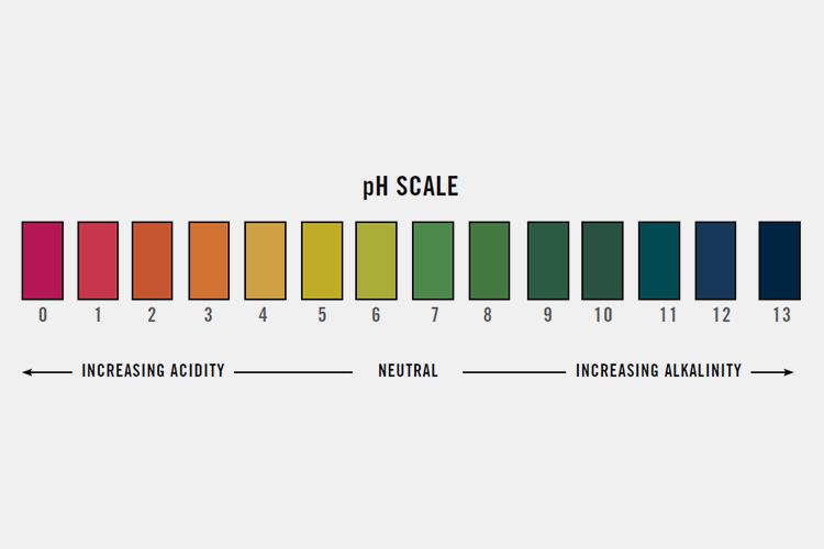 PH-testing