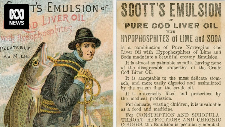 Cod liver oil emulsion manufacturing