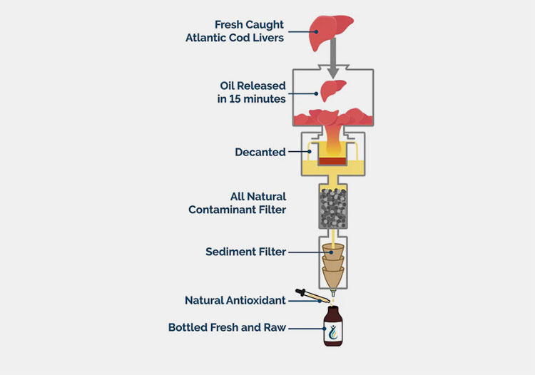 Cod liver oil production