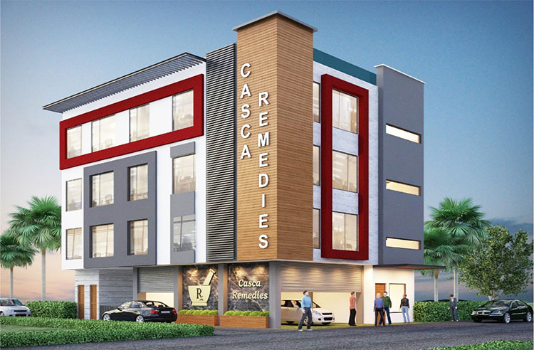Casca remedies building