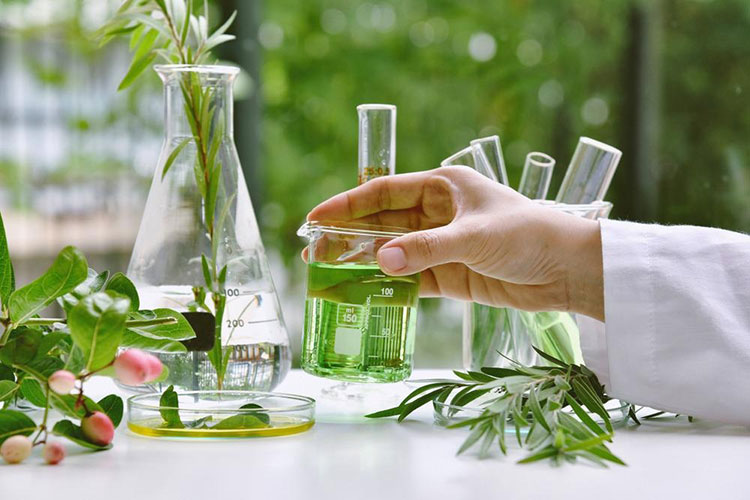 Extraction from Natural Sources