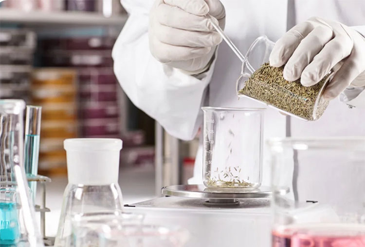 Nutrix International