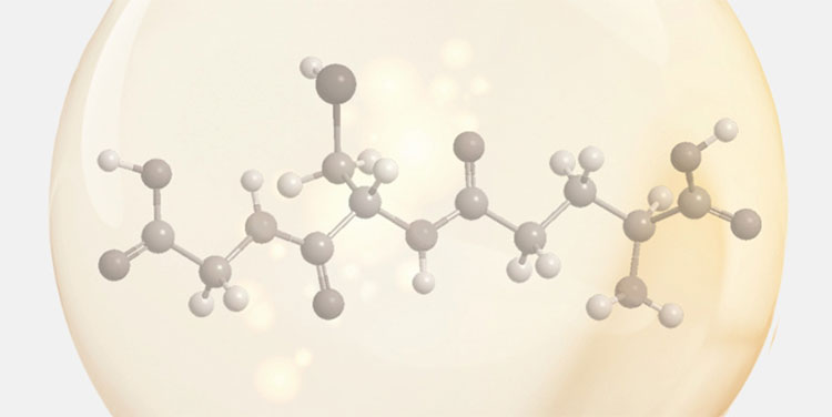 Preparation of Raw Materials