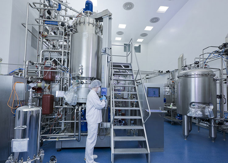 Bioreactor or Fermenter