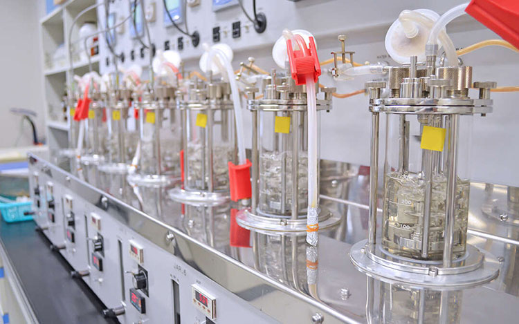 Bioreactors