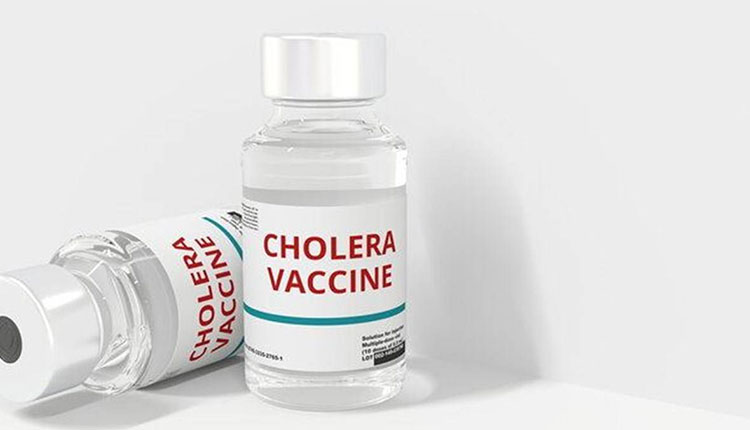 cholera vaccine production