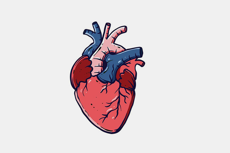 Aid heart health