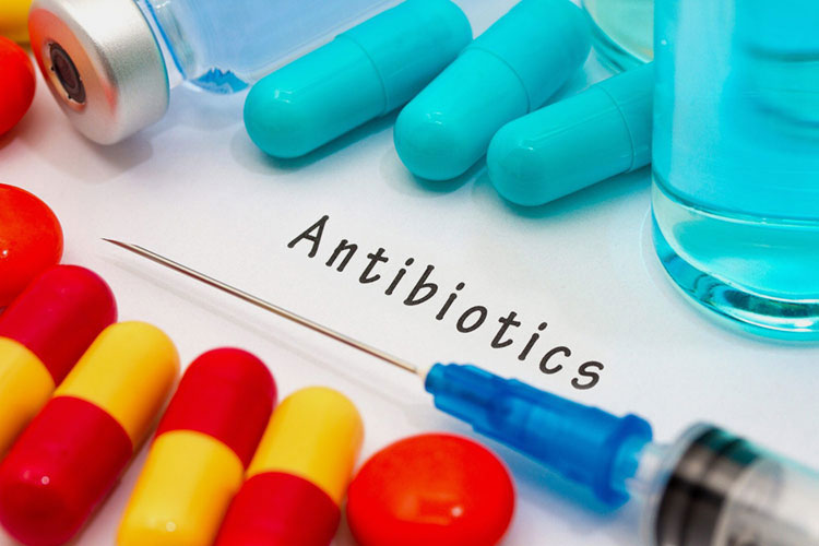 Antibiotic Component