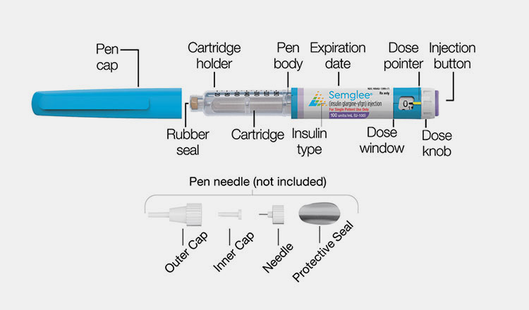 Components of Insulin Pen