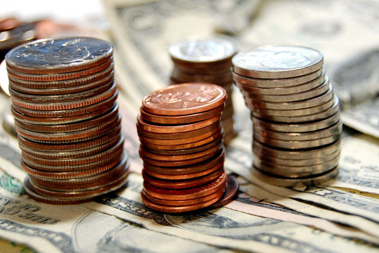 Economic-cost