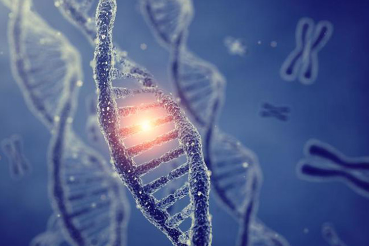 Genetic-factors