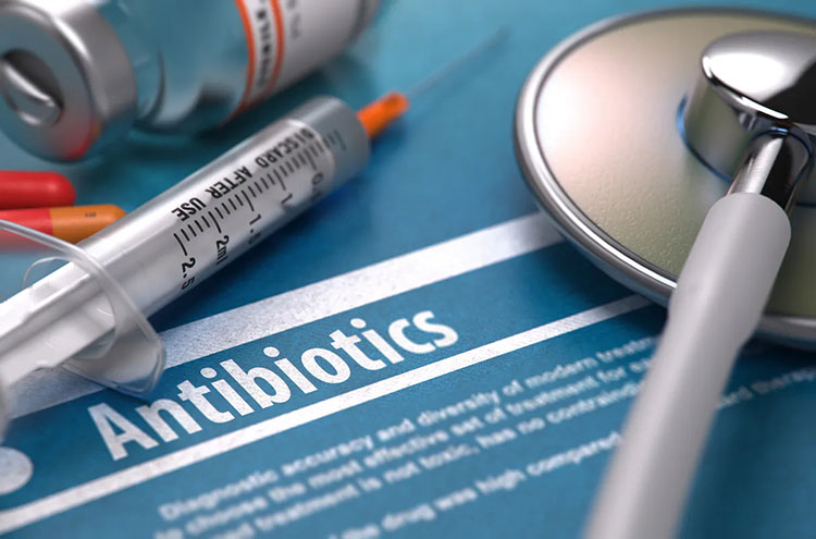 Gum Antibiotic Injection