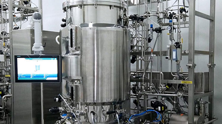 Insulin Formulation