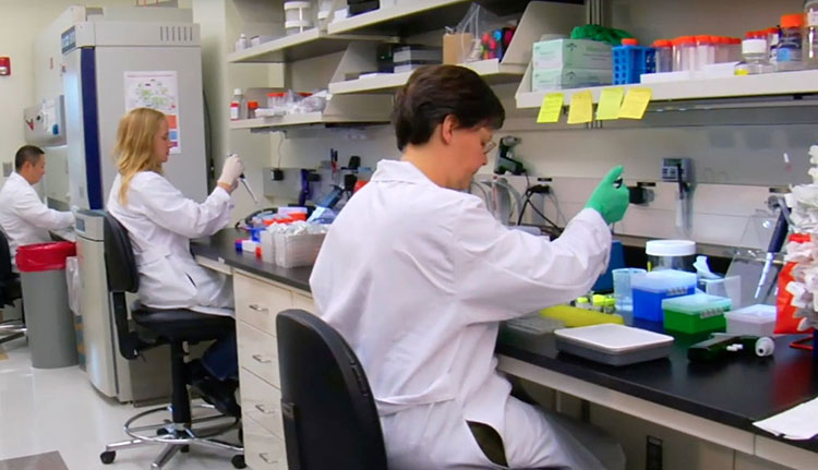 Pre-formulation evaluation