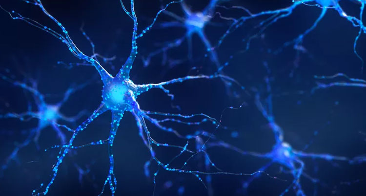 Protect nerve health