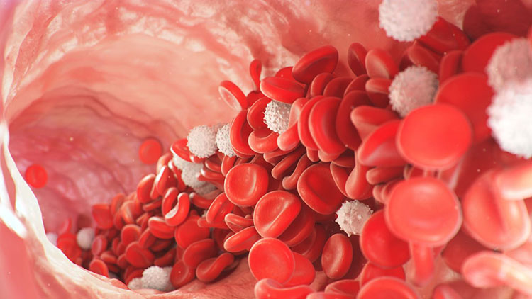 Reduce blood count
