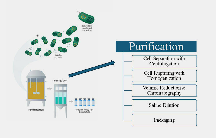 Steps of Making Insulin Syringe and Vial