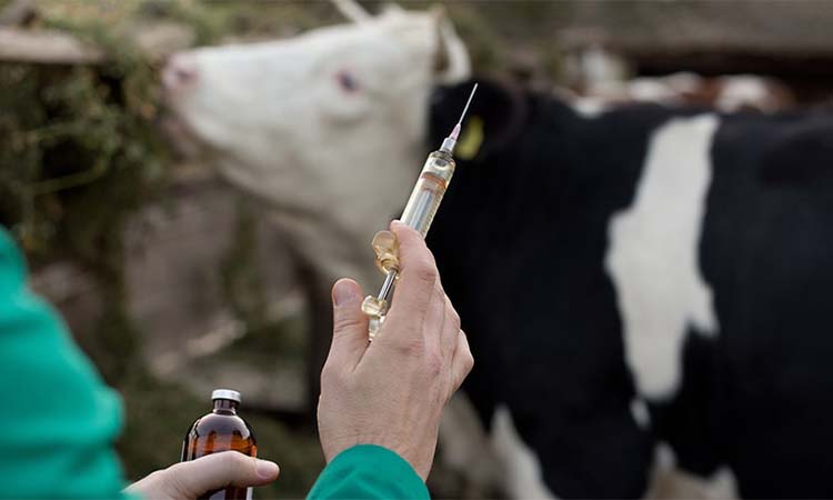 Veterinary industry