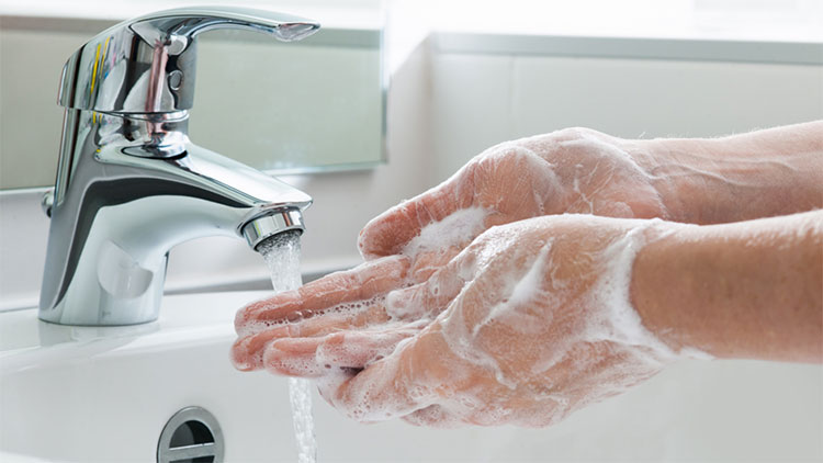 Wash Your Hands