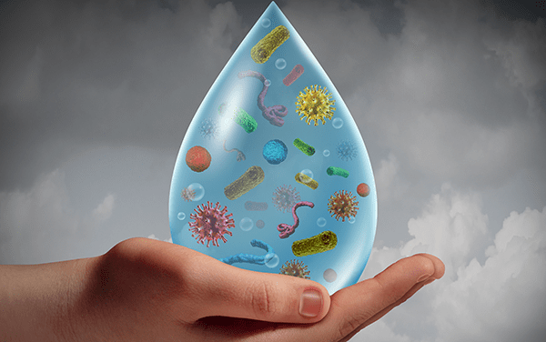 remove-bacteria-in-water