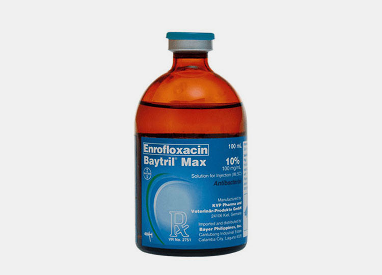Active antibiotic ingredients