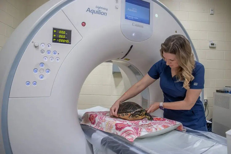 Advanced Oncology Centres
