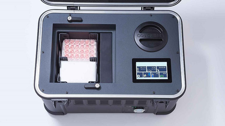 Aiding in shipping of cell lines