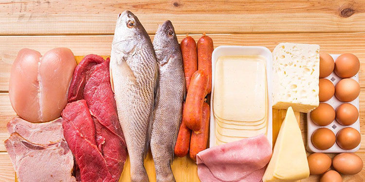 Animal-Based Proteins Source