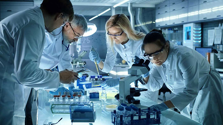 Antibody Manufacturing-3