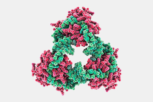 Antitoxins