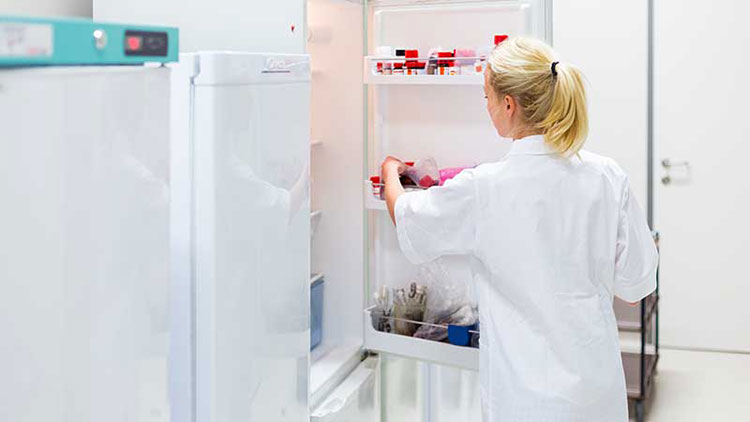 Aspects Of Storing T Cell Culture Medium
