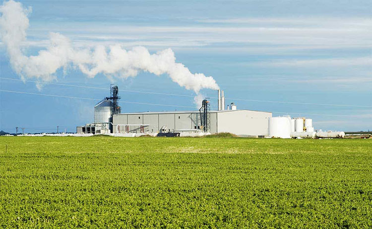 Biofuel Industry