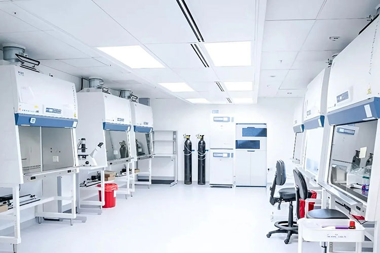 Biosafety Cabinet for Cell Culturing