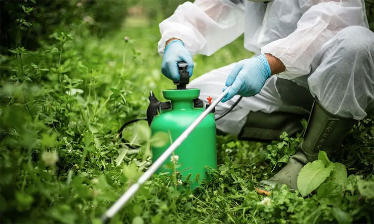 Biotechnology Industry