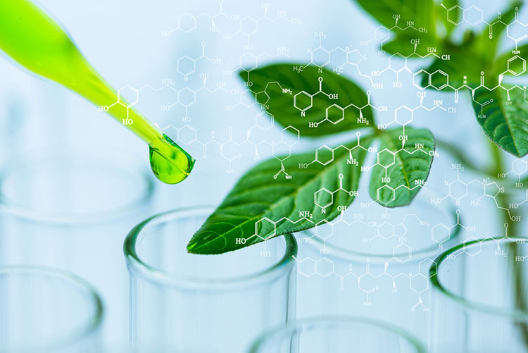 Biotechnology Industry