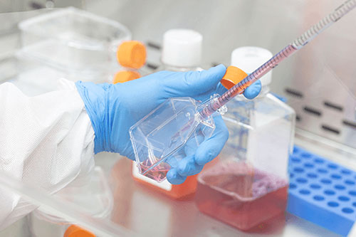 Boosting growth of T cells