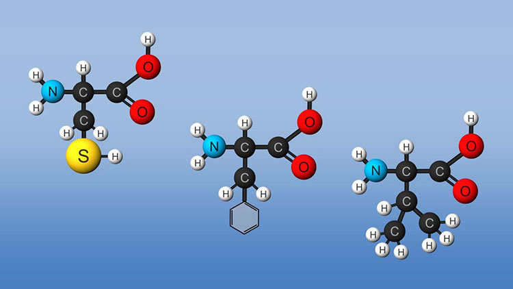 Carbon source