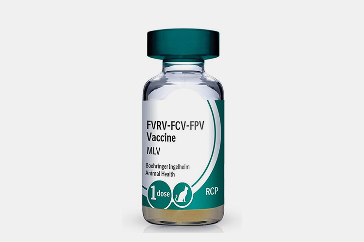 Cat-Triple-Vaccine
