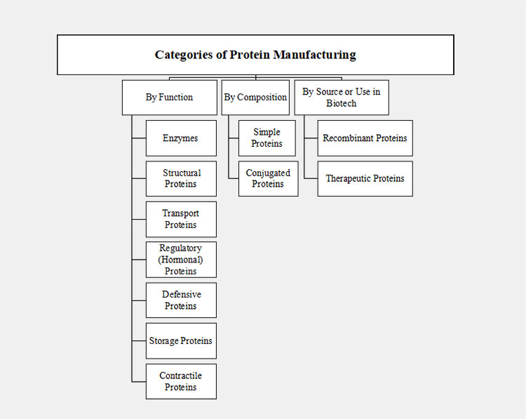 Categories of protein manufacturing