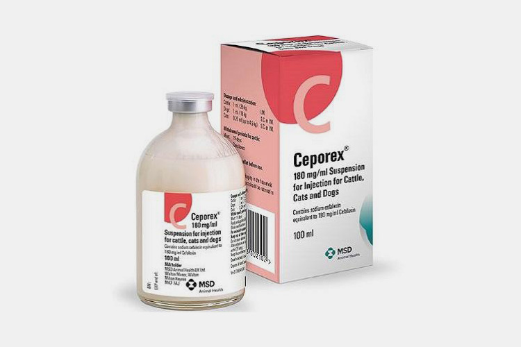 Ceporex™-180