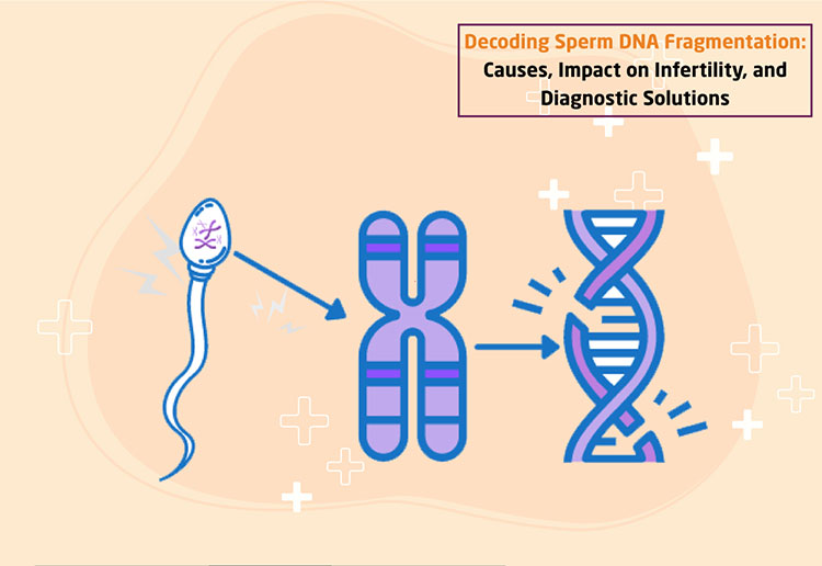 Change genetic makeup of sperm