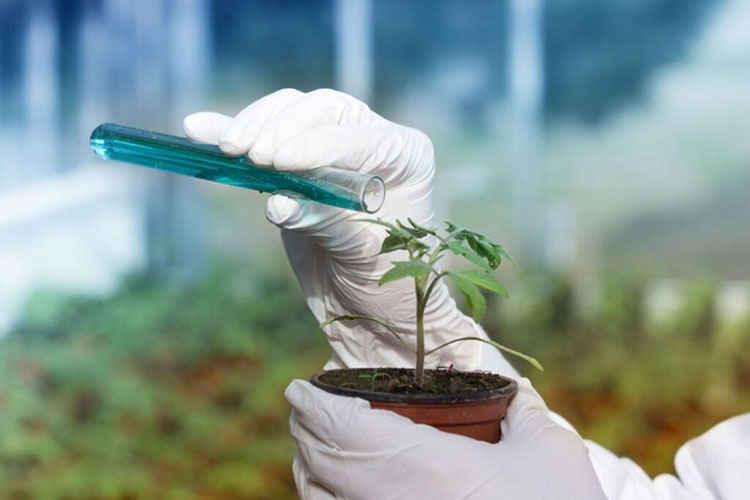 Chemical Industry